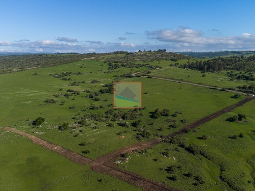 Imagen 4 de 14 de Chacras En Venta Fraccionamiento Altos De Aiguá