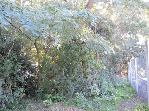 Imagen 8 de 10 de Lote En Veronica, Punta Indio