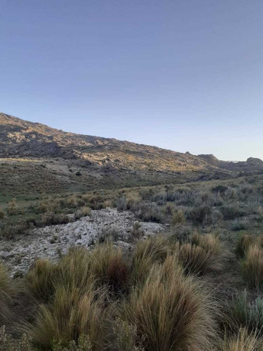 Imagen 9 de 12 de Campo De 10 Has En Nono, Altas Cumbres, Arroyo, Montañas