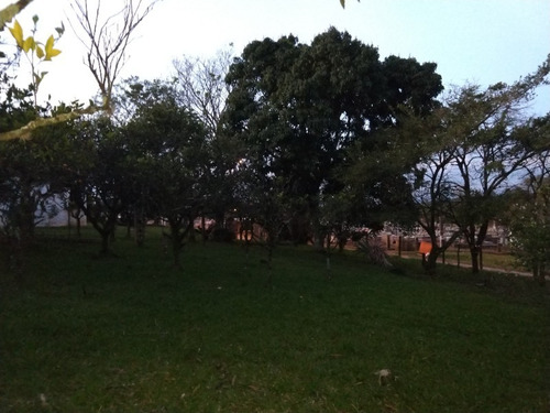 Chácara 10.000 M² - Santa Cruz Da Concórdia - Taquara - Rs - 1875 - 32776313