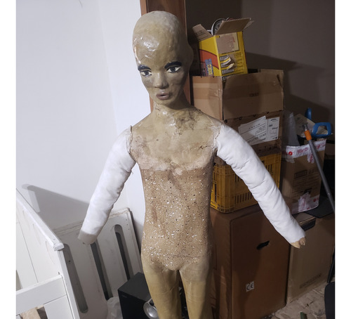 Maniquí Cuerpo Entero Usado Precio Por Cada Uno (Usado)