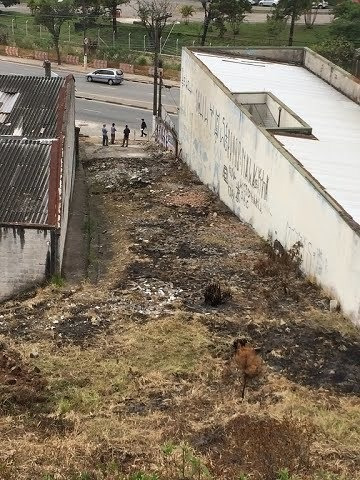 Imagem 4 de 5 de Terreno Para Venda - 9102