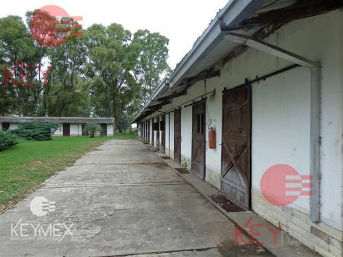 Campo - Estancia - Haras- Bragado - Agricola - Ganadero