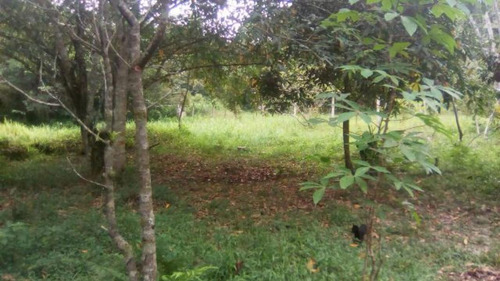 Terreno De Chácara Desmatado No Bopiranga - 3951 | Npc