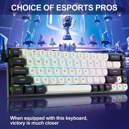 Redragon K701 Rapid Trigger Mechanical Gaming Keyboard, 60%