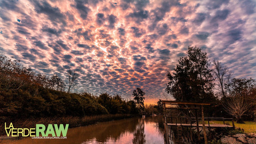 Imagen 3 de 15 de Tigre Delta Cabaña - Alquiler Cabaña En El Tigre - La Verde Raw