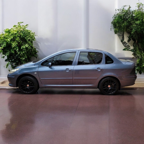 Peugeot 307 2.0 Xs Pack Feline