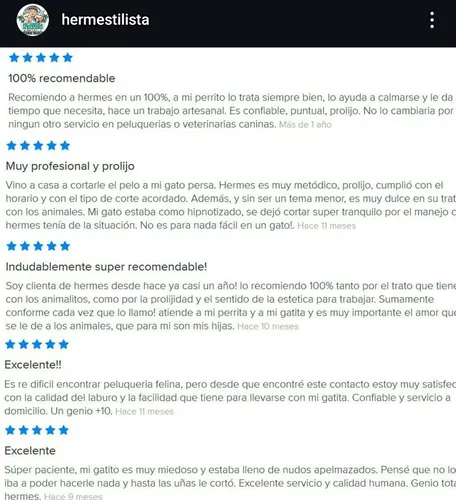 Peluquería Canina Felina Perro Gato Domicilio Caba Alrededor