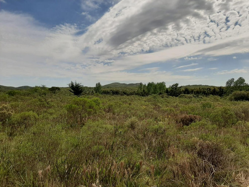 Chacra En Sierra De Las Animas