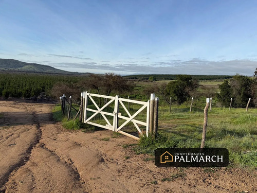 Parcelas En Venta En Ninhue Región De Ñuble