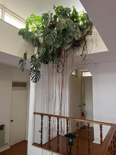 Casa Av. Cristóbal Colón/sta. Magdalena Sofía