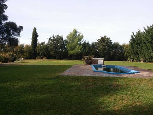 Imagen 7 de 14 de Quinta De 5 Ambientes Y 1 Baño Bahia Blanca