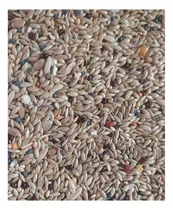 Comprar Mezcla Para Catas, Calafates Y Otras Aves 10 Kilos 