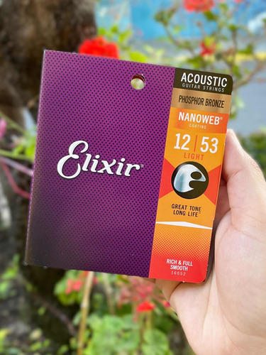 Cuerdas De Guitarra Electroacustica Elixir Fosforo Bronce 12