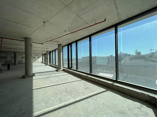Alquiler Oficinas Premium Leed Platinum Ciudad Vieja Alma Et