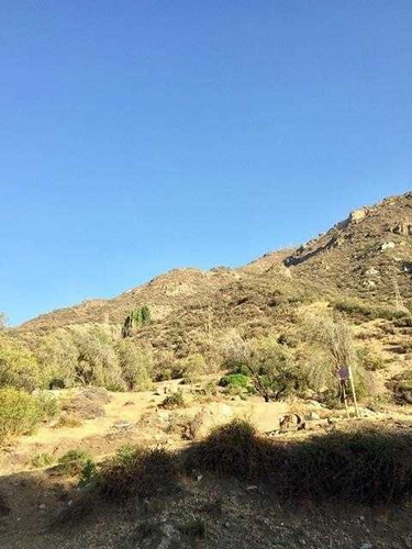 Arrayan/ Camino Farellones