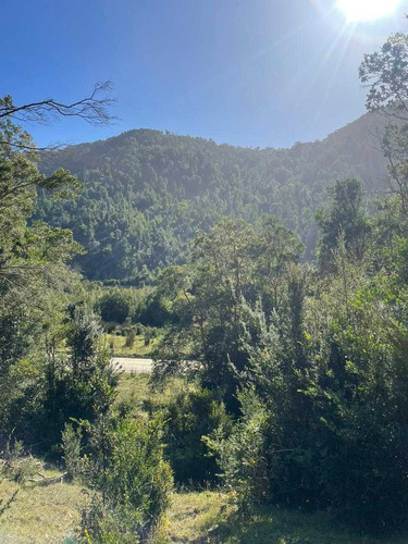 Campo Con Orilla Rio Navegable (67058)