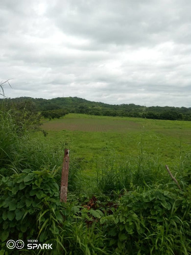 Imagen 2 de 28 de Finca En Venta En El Estado Guarico