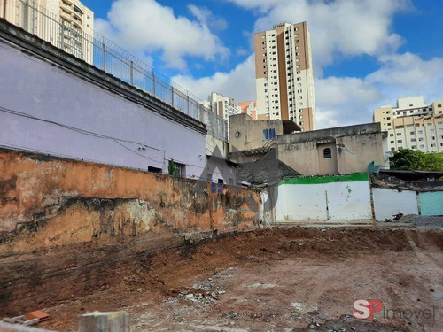 Imagem 1 de 15 de Terreno Para Alugar, 300 M² Por R$ 10.900,00/mês - Tatuapé - São Paulo/sp - Te0010