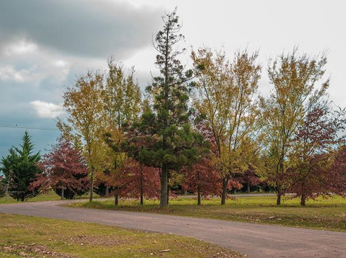 Imagen 7 de 21 de Estancia La Rinconada- Terrenos De 1000 M2 En Barrio Privado En Ibarlucea, A 25' De Rosario, Ruta 34