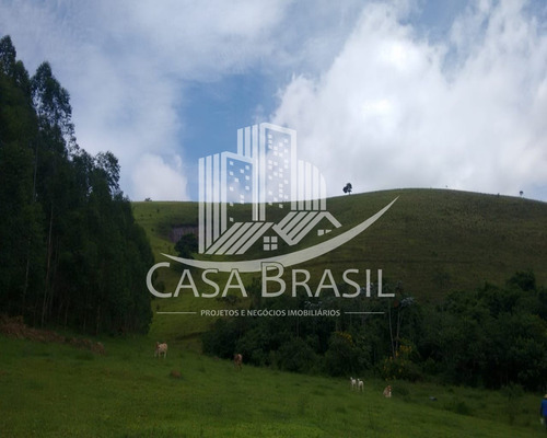 Imagem 12 de 30 de Sítio 35 Alqueires À Venda - Sao Jose Dos Campos - Sp - 393