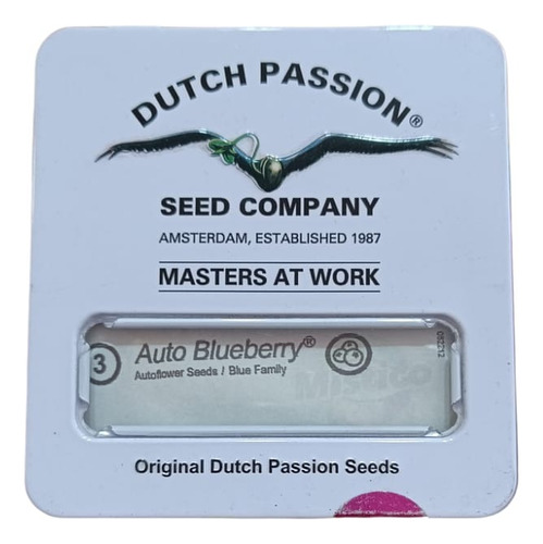 Blueberry Auto  X3  Dutch Passion  