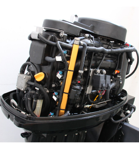 Motor Fuera De Borda Parsun 60hp 4 Tiempos Efi Full Version