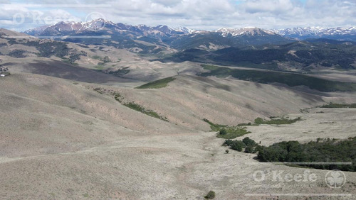 Imagen 12 de 24 de Campo De 2400 Has En Venta En Bariloche - Patagonia Argentina - Fly Fishing