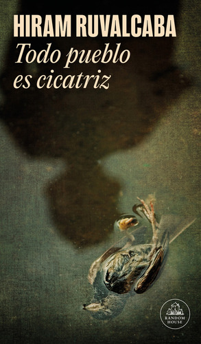 Libro Todo Pueblo Es Cicatriz - Hiram Ruvalcaba - Random House