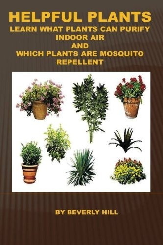 Helpful Plants Learn What Plants Can Purify Indoor Air And W