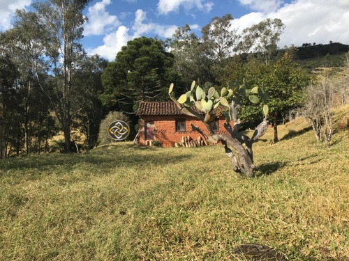 Sítio Em Socorro - St00002 - 68125252