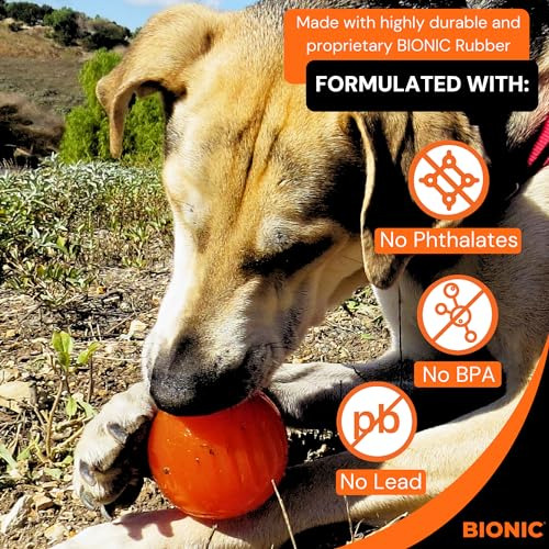 Pelota Grande Interactiva Para Perros Resistentes A Morder