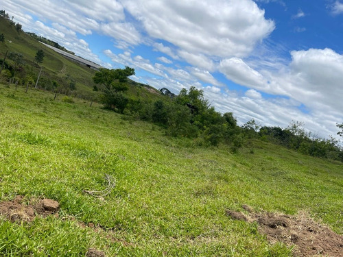 Imagem 8 de 24 de M01- Oportunidade De Ter Sua Casa No Campo