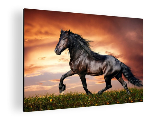 Cuadro Decorativo Mural Caballo 60x42 Mdf