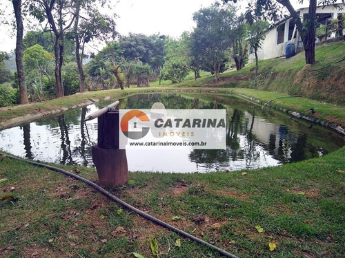Imagem 3 de 6 de ***belíssima Chácara***