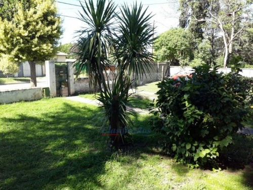 Imagen 9 de 12 de Vendo Amplio Terreno Con Dos Casas Arguello