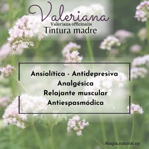 Tintura Madre De Ortiga.30ml. Magia Natural.