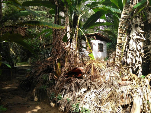 Sítio A Venda No Bairro Quarta Divisão Em Ribeirão Pires - 556-1