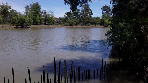 Imagen 3 de 7 de Lote De 22x400 En Villa Paranacito Metros Del Pueblo