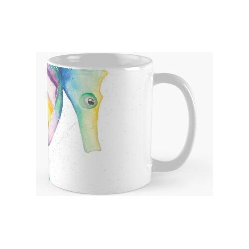 Taza Caballito De Mar Del Arco Iris Calidad Premium