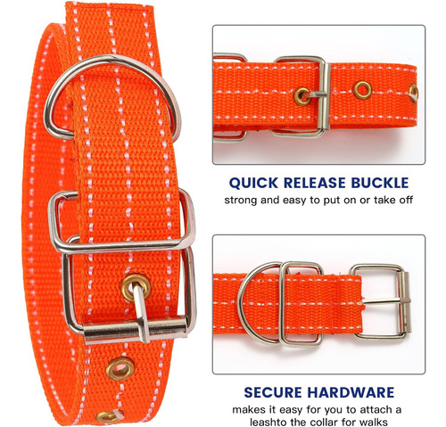 Correa De Nailon Resistente Para Entrenamiento De Perros Gra