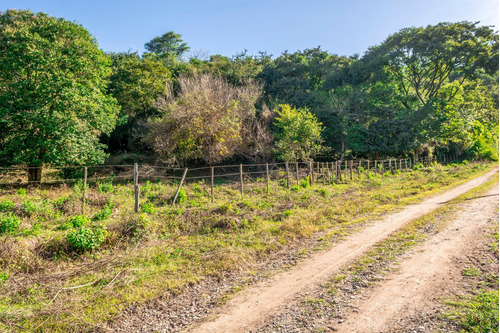Terreno En Venta Castellanos 4124 M2
