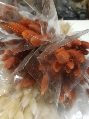 Ramo De Colita De Vison Grande, Variedad De Colores