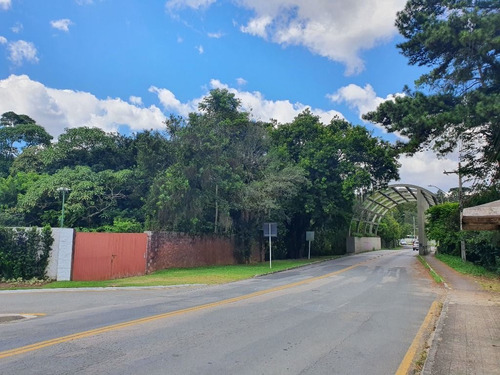 Imagem 5 de 19 de Área À Venda, 5053 M² Por R$ 1.350.000,00 - Tingui - Curitiba/pr - Ar0001