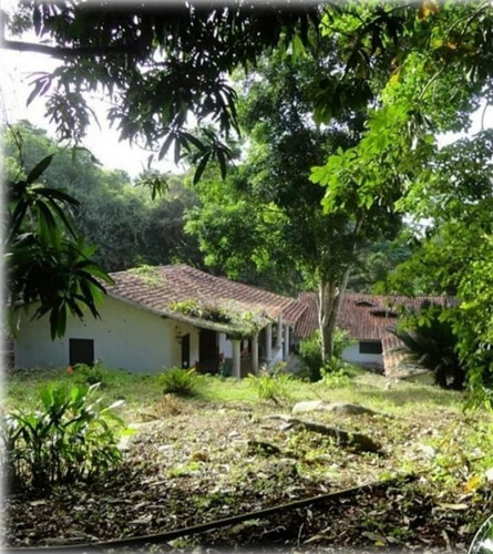 En Venta Hacienda La Aljorra Ubicada En La Parroquia Choroni Del Municipio Girardot Del Estado Aragua