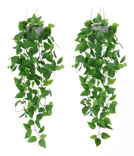 2 plantas colgantes artificiales de 3.6 pies, hojas de hiedra
