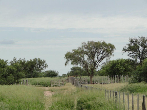 Imagen 9 de 13 de Campo Ganadero 4.300 Has ( San Francisco Del Chañar. Cba )