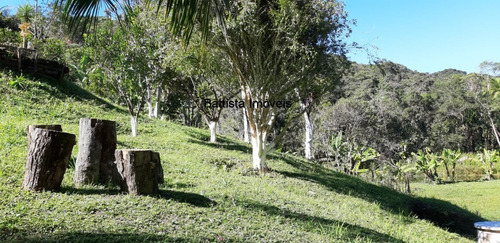 Imagem 16 de 30 de Chacara - 1741 - 69571292