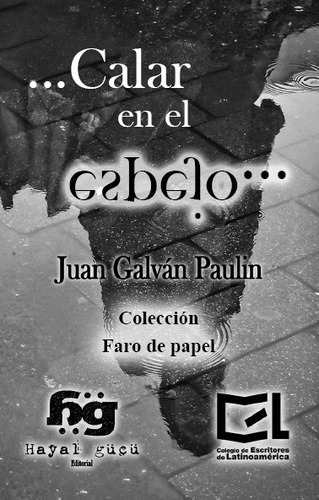 ...calar En El Espejo... Libro De Juan Galván Paulin