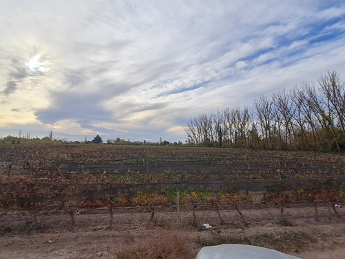 Imagen 9 de 30 de Finca Disponible En Fracciones Ideal Para Galpones O Loteo